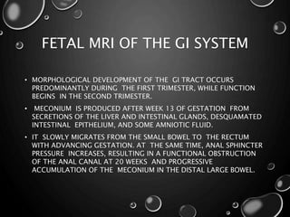 FETAL MRI OF THE GI SYSTEM
• MORPHOLOGICAL DEVELOPMENT OF THE GI TRACT OCCURS
PREDOMINANTLY DURING THE FIRST TRIMESTER, WHILE FUNCTION
BEGINS IN THE SECOND TRIMESTER.
• MECONIUM IS PRODUCED AFTER WEEK 13 OF GESTATION FROM
SECRETIONS OF THE LIVER AND INTESTINAL GLANDS, DESQUAMATED
INTESTINAL EPITHELIUM, AND SOME AMNIOTIC FLUID.
• IT SLOWLY MIGRATES FROM THE SMALL BOWEL TO THE RECTUM
WITH ADVANCING GESTATION. AT THE SAME TIME, ANAL SPHINCTER
PRESSURE INCREASES, RESULTING IN A FUNCTIONAL OBSTRUCTION
OF THE ANAL CANAL AT 20 WEEKS AND PROGRESSIVE
ACCUMULATION OF THE MECONIUM IN THE DISTAL LARGE BOWEL.
 