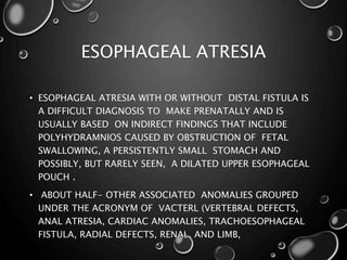 ESOPHAGEAL ATRESIA
• ESOPHAGEAL ATRESIA WITH OR WITHOUT DISTAL FISTULA IS
A DIFFICULT DIAGNOSIS TO MAKE PRENATALLY AND IS
USUALLY BASED ON INDIRECT FINDINGS THAT INCLUDE
POLYHYDRAMNIOS CAUSED BY OBSTRUCTION OF FETAL
SWALLOWING, A PERSISTENTLY SMALL STOMACH AND
POSSIBLY, BUT RARELY SEEN, A DILATED UPPER ESOPHAGEAL
POUCH .
• ABOUT HALF- OTHER ASSOCIATED ANOMALIES GROUPED
UNDER THE ACRONYM OF VACTERL (VERTEBRAL DEFECTS,
ANAL ATRESIA, CARDIAC ANOMALIES, TRACHOESOPHAGEAL
FISTULA, RADIAL DEFECTS, RENAL, AND LIMB,
 