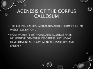 AGENESIS OF THE CORPUS
CALLOSUM
• THE CORPUS CALLOSUM REACHES ADULT FORM BY 18–20
WEEKS’ GESTATION .
• MOST PATIENTS WITH CALLOSAL AGENESIS HAVE
NEURODEVELOPMENTAL DISORDERS, INCLUDING
DEVELOPMENTAL DELAY, MENTAL DISABILITY, AND
EPILEPSY
 