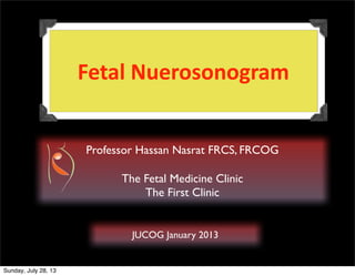 Fetal	
  Nuerosonogram	
  
Professor Hassan Nasrat FRCS, FRCOG
The Fetal Medicine Clinic
The First Clinic

JUCOG January 2013

Sunday, July 28, 13

 