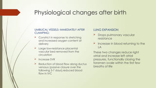 FETAL PHYSIOLOGY AND PHYSIOLOGICAL TRANSITION AT BIRTH.pptx