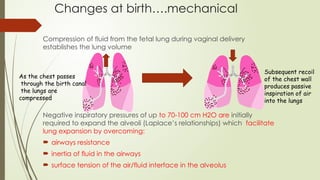 FETAL PHYSIOLOGY AND PHYSIOLOGICAL TRANSITION AT BIRTH.pptx