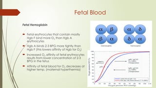 FETAL PHYSIOLOGY AND PHYSIOLOGICAL TRANSITION AT BIRTH.pptx
