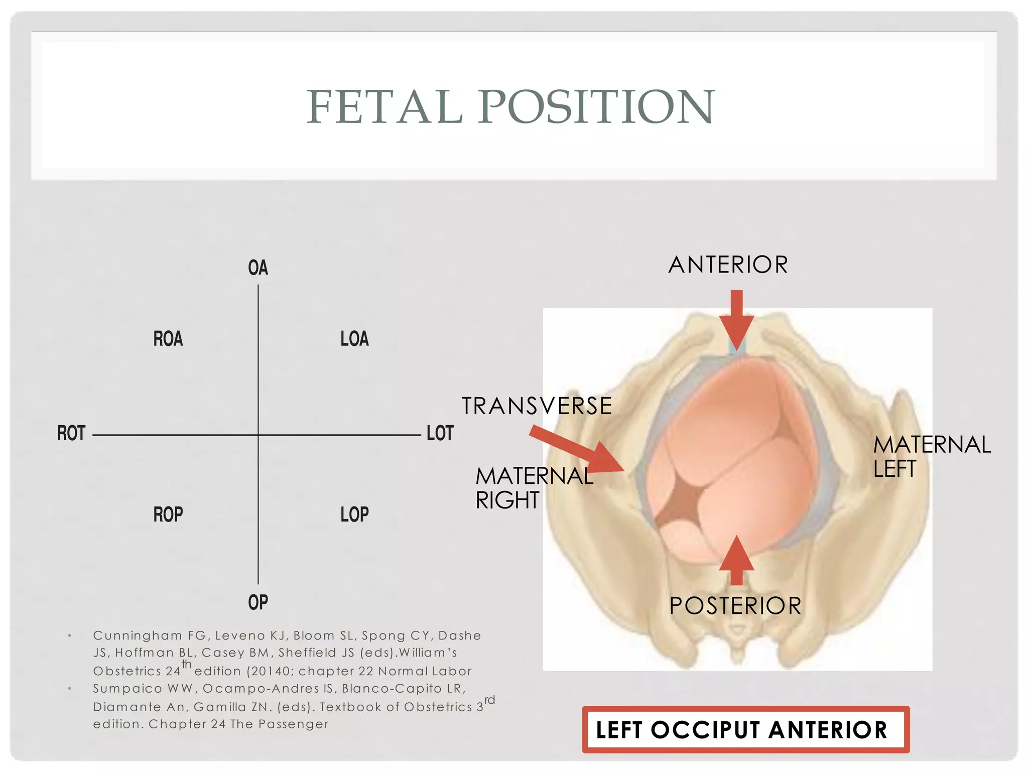 Fetal position | PDF