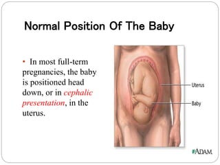 Normal Position Of The Baby 
• In most full-term 
pregnancies, the baby 
is positioned head 
down, or in cephalic 
presentation, in the 
uterus. 
 
