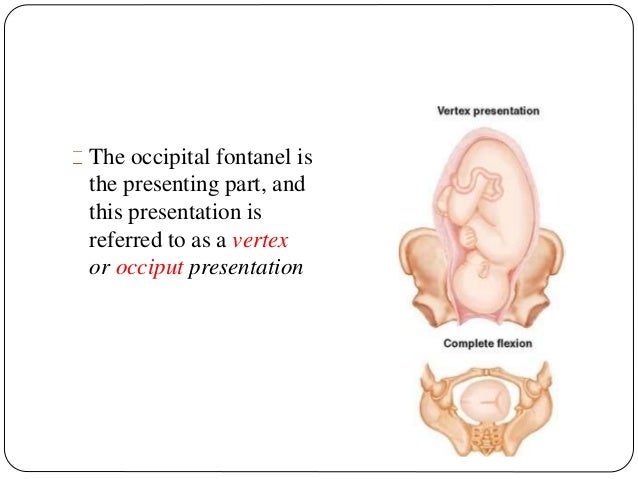 presentation fetal presenting part