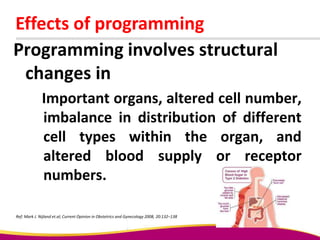Effects of programming
Programming involves structural
changes in
Important organs, altered cell number,
imbalance in distribution of different
cell types within the organ, and
altered blood supply or receptor
numbers.
Ref: Mark J. Nijland et.al; Current Opinion in Obstetrics and Gynecology 2008, 20:132–138
 
