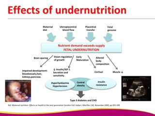 Effects of undernutrition
Ref: Maternal nutrition: Effects on health in the next generation Caroline Fall; Indian J Med Res 130, November 2009, pp 593-599
Cortisol
Maternal
diet
Uteroplacentral
blood flow
Placentral
transfer
Fetal
genome
Nutrient demand exceeds supply
FETAL UNDERNUTRITION
Brain sparing Down regulation
of growth
Early
Maturation
Altered
body
composition
Impaired development:
bloodvessels,liver,
kidneys,pancreas.
↓ Insulin/IGF-1
Secretion and
sensitivity
Central
obesity
Insulin
resistance
Hyperlipidaemia
Hypertension
Type 2 diabetes and CHD
Muscle ↓
 