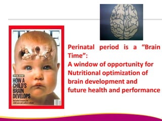 Perinatal period is a “Brain
Time”:
A window of opportunity for
Nutritional optimization of
brain development and
future health and performance
 