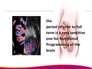 the
period of prior to full
term is a very sensitive
one for Nutritional
Programming of the
brain
 