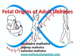 Fetal Origins of Adult Diseases
narendra malhotra
jaideep malhotra
neharika malhotra
www.malhotrahospitals.com
 