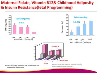 Pune Maternal Nutrition Study
Maternal Folate, Vitamin B12& Childhood Adiposity
& Insulin Resistance(fetal Programming)
Ref: Rao S, et al, J Nutr, 2001 Yajnik CS et al, Diabetologia 2008
<734 <961 <126
9
 1269
2.8
2.9
3
3.1
3.2
3.3
3.4
3.5
Red cell folate (nmol/L)
P=0.002
6y Fatmass (kg)
<103 <135 <175 >175
13
13.1
13.2
13.3
13.4
13.5
13.6
13.7
13.8
13.9
14
P=0.01
6y BMI (kg/m2)
Vitamin B12 (pmol/L)
Adjusted for sex,age and fat %: maternal adiposity ,
protein intake,birth size, vitamin B12
 