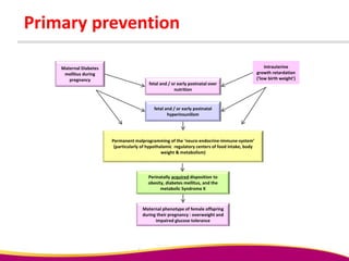 Primary prevention
fetal and / or early postnatal over
nutrition
fetal and / or early postnatal
hyperinsunilism
Maternal Diabetes
mellitus during
pregnancy
Permanent malprogramming of the ‘neuro-endocrine-immune-system’
(particularly of hypothalamic regulatory centers of food intake, body
weight & metabolism)
Perinatally acquired disposition to
obesity, diabetes mellitus, and the
metabolic Syndrome X
Intrauterine
growth retardation
(‘low birth weight’)
Maternal phenotype of female offspring
during their pregnancy : overweight and
impaired glucose tolerance
 