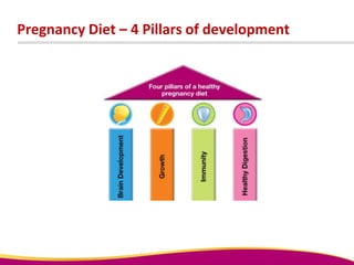 Pregnancy Diet – 4 Pillars of development
 