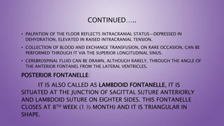 CONTINUED…..
• PALPATION OF THE FLOOR REFLECTS INTRACRANIAL STATUS—DEPRESSED IN
DEHYDRATION, ELEVATED IN RAISED INTRACRANIAL TENSION.
• COLLECTION OF BLOOD AND EXCHANGE TRANSFUSION, ON RARE OCCASION, CAN BE
PERFORMED THROUGH IT VIA THE SUPERIOR LONGITUDINAL SINUS.
• CEREBROSPINAL FLUID CAN BE DRAWN, ALTHOUGH RARELY, THROUGH THE ANGLE OF
THE ANTERIOR FONTANEL FROM THE LATERAL VENTRICLES.
POSTERIOR FONTANELLE:
IT IS ALSO CALLED AS LAMBDOID FONTANELLE, IT IS
SITUATED AT THE JUNCTION OF SAGITTAL SUTURE ANTERIORLY
AND LAMBDOID SUTURE ON EIGHTER SIDES. THIS FONTANELLE
CLOSES AT 8TH WEEK (1 ½ MONTH) AND IT IS TRIANGULAR IN
SHAPE.
 