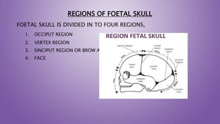 REGIONS OF FOETAL SKULL
FOETAL SKULL IS DIVIDED IN TO FOUR REGIONS,
1. OCCIPUT REGION
2. VERTEX REGION
3. SINCIPUT REGION OR BROW AND
4. FACE
 