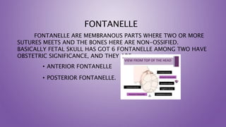 FONTANELLE
FONTANELLE ARE MEMBRANOUS PARTS WHERE TWO OR MORE
SUTURES MEETS AND THE BONES HERE ARE NON-OSSIFIED.
BASICALLY FETAL SKULL HAS GOT 6 FONTANELLE AMONG TWO HAVE
OBSTETRIC SIGNIFICANCE, AND THEY ARE
• ANTERIOR FONTANELLE
• POSTERIOR FONTANELLE.
 