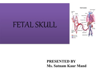 FETAL SKULL
PRESENTED BY
Ms. Satnam Kaur Mand
 