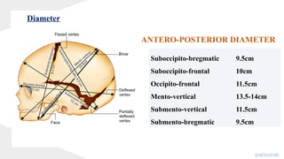 Suboccipito-bregmatic 9.5cm
Suboccipito-frontal 10cm
Occipito-frontal 11.5cm
Mento-vertical 13.5-14cm
Submento-vertical 11.5cm
Submento-bregmatic 9.5cm
ANTERO-POSTERIOR DIAMETER
Diameter
@KOUSHIK
 
