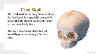 Fetal Skull
The fetal skull is the bony framework of
the fetal head. It is specially adapted for
labor and childbirth because its bones
are not completely fused.
The skull can change shape (called
moulding) to pass through the birth
canal.
@KOUSHIK
 
