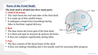 The fetal skull is divided into three main parts:
1. Vault (Calvarium)
• The vault forms the roof and sides of the fetal skull.
• It is made up of thin, pliable bones.
• It undergoes compression (moulding) during
labor to facilitate vaginal delivery.
2. Base
• The base forms the lower part of the fetal skull.
• It is thick and rigid in structure & protects the brain.
• It does not compress significantly during labor.
3. Face
• The face consists of the facial bones of the skull.
• It does not undergo moulding and is not usually used for assessing labor progress.
Parts of the Fetal Skull:
@KOUSHIK
 