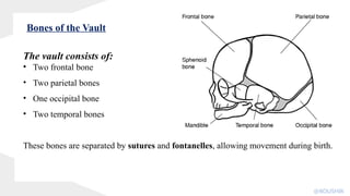 The vault consists of:
• Two frontal bone
• Two parietal bones
• One occipital bone
• Two temporal bones
These bones are separated by sutures and fontanelles, allowing movement during birth.
Bones of the Vault
@KOUSHIK
 