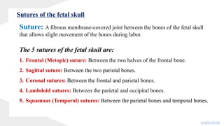 Suture: A fibrous membrane-covered joint between the bones of the fetal skull
that allows slight movement of the bones during labor.
The 5 sutures of the fetal skull are:
1. Frontal (Metopic) suture: Between the two halves of the frontal bone.
2. Sagittal suture: Between the two parietal bones.
3. Coronal sutures: Between the frontal and parietal bones.
4. Lambdoid sutures: Between the parietal and occipital bones.
5. Squamous (Temporal) sutures: Between the parietal bones and temporal bones.
Sutures of the fetal skull
@KOUSHIK
 
