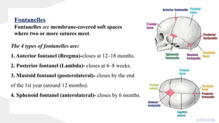 The 4 types of fontanelles are:
1. Anterior fontanel (Bregma)-closes at 12–18 months.
2. Posterior fontanel (Lambda)- closes at 6–8 weeks.
3. Mastoid fontanel (posterolateral)- closes by the end
of the 1st year (around 12 months).
4. Sphenoid fontanel (anterolateral)- closes by 6 months.
Fontanelles
Fontanelles are membrane-covered soft spaces
where two or more sutures meet.
@KOUSHIK
 