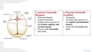 1. Anterior Fontanelle
(Bregma)
• Diamond-shaped.
• Largest fontanelle.
• Formed at the junction of
the frontal, sagittal, and
coronal sutures.
• Closes at 12–18 months
after birth.
2. Posterior Fontanelle
(Lambda)
• Triangular.
• Formed at the junction of
the sagittal and lambdoid
sutures.
• Closes by 6–8 weeks after
birth.
@KOUSHIK
 