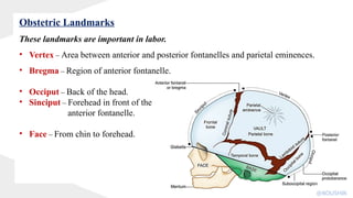 Obstetric Landmarks
These landmarks are important in labor.
• Vertex – Area between anterior and posterior fontanelles and parietal eminences.
• Bregma – Region of anterior fontanelle.
• Occiput – Back of the head.
• Sinciput – Forehead in front of the
anterior fontanelle.
• Face – From chin to forehead.
@KOUSHIK
 