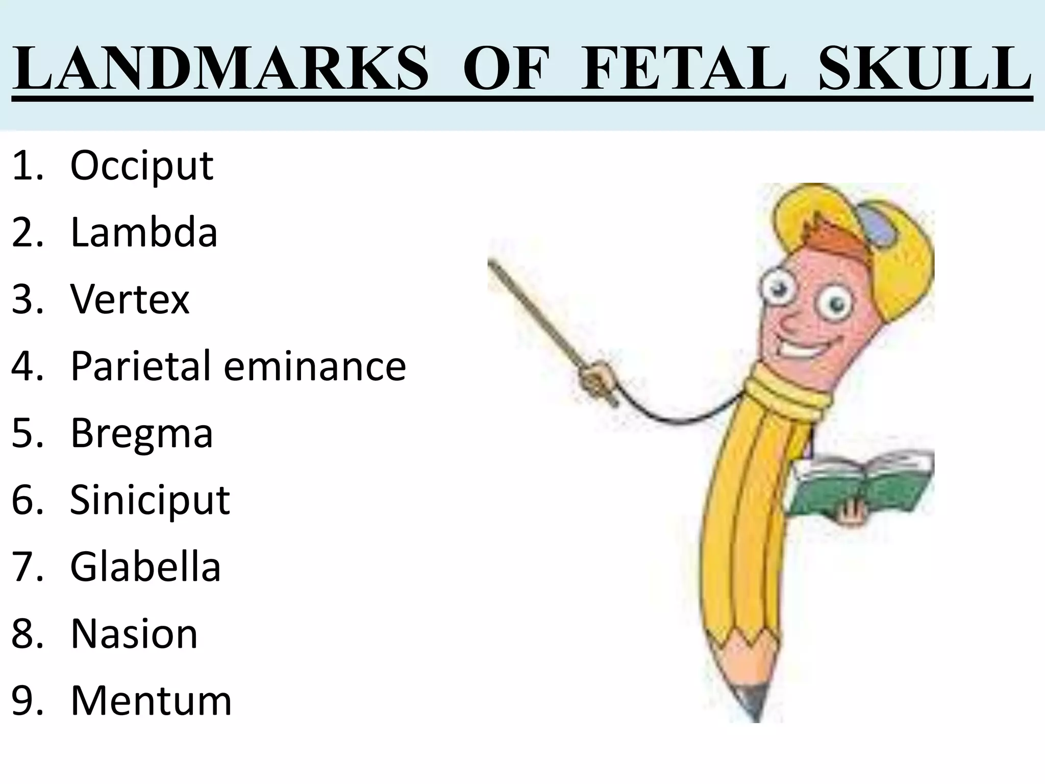 Microteaching on Fetal skull | PPTX
