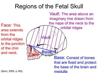 Regions of the Fetal Skull
Vault
Base: Consist of bones
that are fixed and protect
the base of the brain and
medulla
Face
Face: This
area extends
from the
orbital ridges
to the junction
of the chin
and neck.
Vault: The area above an
imaginary line drawn from
the nape of the neck to the
orbital ridges
Base
(Serci, 2009, p.165)
 