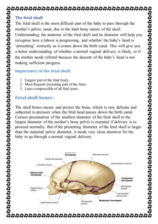 Skull and Bones - Wikipedia