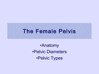 The Female Pelvis
•Anatomy
•Pelvic Diameters
•Pelvic Types
 