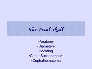 The Fetal Skull
•Anatomy
•Diameters
•Molding
•Caput Succedaneum
•Cephalhematoma
 
