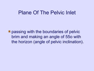 Plane Of The Pelvic Inlet
passing with the boundaries of pelvic
brim and making an angle of 55o with
the horizon (angle of pelvic inclination).
 