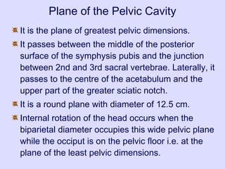 Plane of the Pelvic Cavity
It is the plane of greatest pelvic dimensions.
It passes between the middle of the posterior
surface of the symphysis pubis and the junction
between 2nd and 3rd sacral vertebrae. Laterally, it
passes to the centre of the acetabulum and the
upper part of the greater sciatic notch.
It is a round plane with diameter of 12.5 cm.
Internal rotation of the head occurs when the
biparietal diameter occupies this wide pelvic plane
while the occiput is on the pelvic floor i.e. at the
plane of the least pelvic dimensions.
 