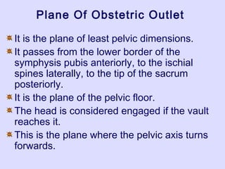 Plane Of Obstetric Outlet
It is the plane of least pelvic dimensions.
It passes from the lower border of the
symphysis pubis anteriorly, to the ischial
spines laterally, to the tip of the sacrum
posteriorly.
It is the plane of the pelvic floor.
The head is considered engaged if the vault
reaches it.
This is the plane where the pelvic axis turns
forwards.
 