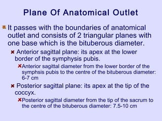 Plane Of Anatomical Outlet
It passes with the boundaries of anatomical
outlet and consists of 2 triangular planes with
one base which is the bituberous diameter.
Anterior sagittal plane: its apex at the lower
border of the symphysis pubis.
Anterior sagittal diameter from the lower border of the
symphsis pubis to the centre of the bituberous diameter:
6-7 cm
Posterior sagittal plane: its apex at the tip of the
coccyx.
Posterior sagittal diameter from the tip of the sacrum to
the centre of the bituberous diameter: 7.5-10 cm
 
