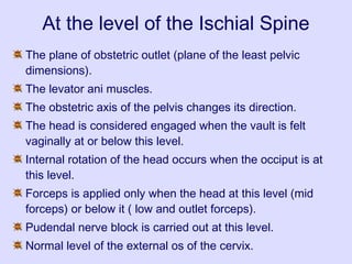 At the level of the Ischial Spine
The plane of obstetric outlet (plane of the least pelvic
dimensions).
The levator ani muscles.
The obstetric axis of the pelvis changes its direction.
The head is considered engaged when the vault is felt
vaginally at or below this level.
Internal rotation of the head occurs when the occiput is at
this level.
Forceps is applied only when the head at this level (mid
forceps) or below it ( low and outlet forceps).
Pudendal nerve block is carried out at this level.
Normal level of the external os of the cervix.
 