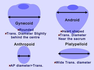Gynecoid
Android
Anthropoid Platypelloid
Rounded
Trans. Diameter Slightly
behind the centre
Heart shaped
Trans. Diameter
Near the sacrum
AP diameter>Trans.
Wide Trans. diameter
 