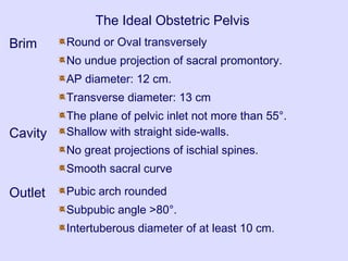 The Ideal Obstetric Pelvis
Brim Round or Oval transversely
No undue projection of sacral promontory.
AP diameter: 12 cm.
Transverse diameter: 13 cm
The plane of pelvic inlet not more than 55°.
Cavity Shallow with straight side-walls.
No great projections of ischial spines.
Smooth sacral curve
Outlet Pubic arch rounded
Subpubic angle >80°.
Intertuberous diameter of at least 10 cm.
 