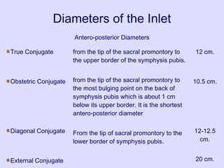Diameters of the Inlet
Antero-posterior Diameters
True Conjugate
Obstetric Conjugate
Diagonal Conjugate
External Conjugate
from the tip of the sacral promontory to
the upper border of the symphysis pubis.
from the tip of the sacral promontory to
the most bulging point on the back of
symphysis pubis which is about 1 cm
below its upper border. It is the shortest
antero-posterior diameter
From the tip of sacral promontory to the
lower border of symphysis pubis.
12 cm.
10.5 cm.
12-12.5
cm.
20 cm.
 