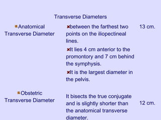 Transverse Diameters
Anatomical
Transverse Diameter
Obstetric
Transverse Diameter
between the farthest two
points on the iliopectineal
lines.
It lies 4 cm anterior to the
promontory and 7 cm behind
the symphysis.
It is the largest diameter in
the pelvis.
It bisects the true conjugate
and is slightly shorter than
the anatomical transverse
diameter.
13 cm.
12 cm.
 