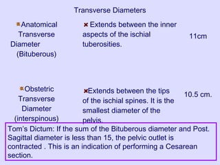 Transverse Diameters
Anatomical
Transverse
Diameter
(Bituberous)
Obstetric
Transverse
Diameter
(interspinous)
Extends between the inner
aspects of the ischial
tuberosities.
Extends between the tips
of the ischial spines. It is the
smallest diameter of the
pelvis.
11cm
10.5 cm.
Tom’s Dictum: If the sum of the Bituberous diameter and Post.
Sagittal diameter is less than 15, the pelvic outlet is
contracted . This is an indication of performing a Cesarean
section.
 