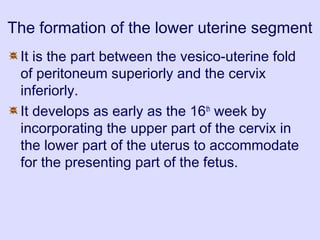 The formation of the lower uterine segment
It is the part between the vesico-uterine fold
of peritoneum superiorly and the cervix
inferiorly.
It develops as early as the 16th
week by
incorporating the upper part of the cervix in
the lower part of the uterus to accommodate
for the presenting part of the fetus.
 
