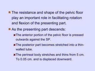The resistance and shape of the pelvic floor
play an important role in facilitating rotation
and flexion of the presenting part.
As the presenting part descends:
The anterior portion of the pelvic floor is pressed
outwards against the SP.
The posterior part becomes stretched into a thin-
walled tube.
The perineal body stretches and thins from 5 cm.
To 0.05 cm. and is displaced downward.
 