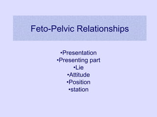 Feto-Pelvic Relationships
•Presentation
•Presenting part
•Lie
•Attitude
•Position
•station
 