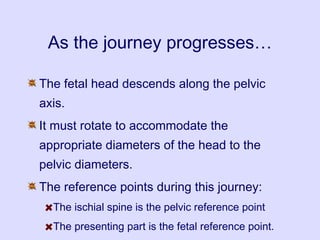 As the journey progresses…
The fetal head descends along the pelvic
axis.
It must rotate to accommodate the
appropriate diameters of the head to the
pelvic diameters.
The reference points during this journey:
The ischial spine is the pelvic reference point
The presenting part is the fetal reference point.
 