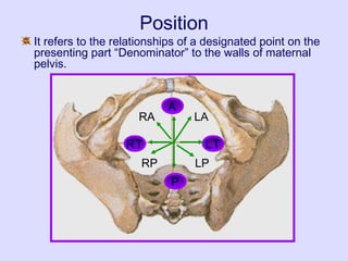 Position
It refers to the relationships of a designated point on the
presenting part “Denominator” to the walls of maternal
pelvis.
P
LT
A
RT
RA
RP LP
LA
 